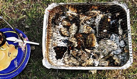 Grilla i stockholms parker